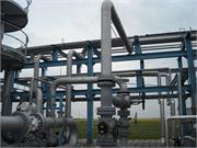 Banatski dvor slika24